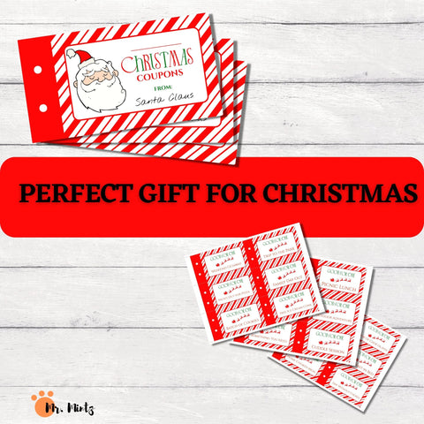 Need some fresh ideas for giving Christmas gifts to kids? These cute coupon books allow you to create the perfect gift, customized by you for each recipient. Download this Christmas coupon book and get 24 unique pre-filled coupons as well as 6 blank ones for custom coupons. Merry Christmas!!!