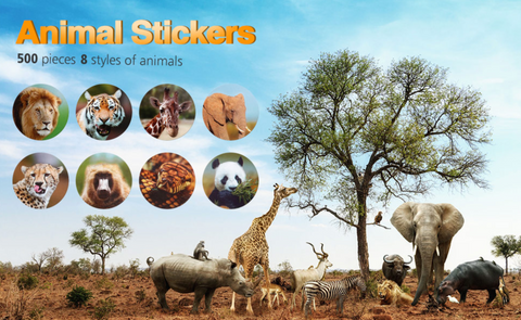 Realistic Zoo Animal Roll Stickers (500 Pieces)