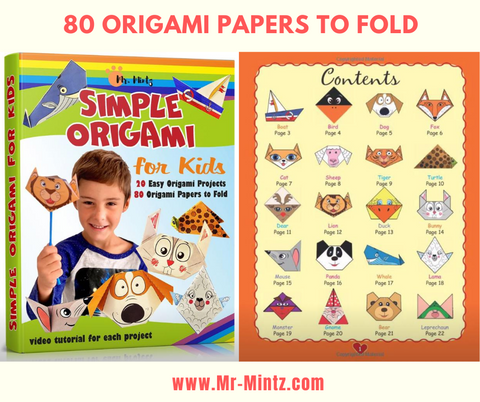 This special origami book will teach your kids how to make origami in a way that's fun and entertaining and is suitable for children with special needs such as ADHD and Autism.