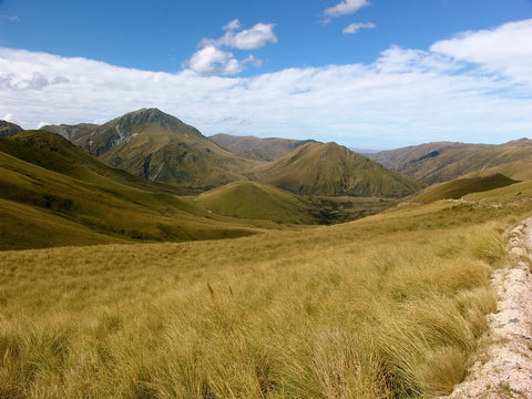 Danseys Pass