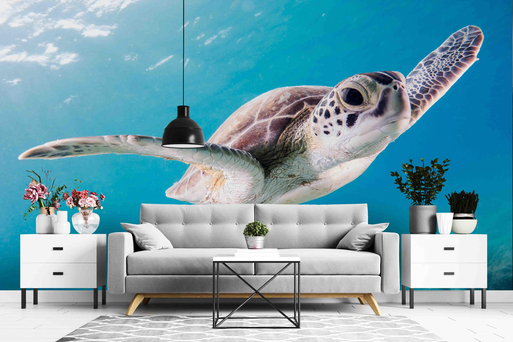 3d Blue Sea Turtle Wall Mural Wallpa 39 Jessartdecoration