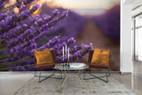 3D Lavender Wall Mural Wallpaper 29
