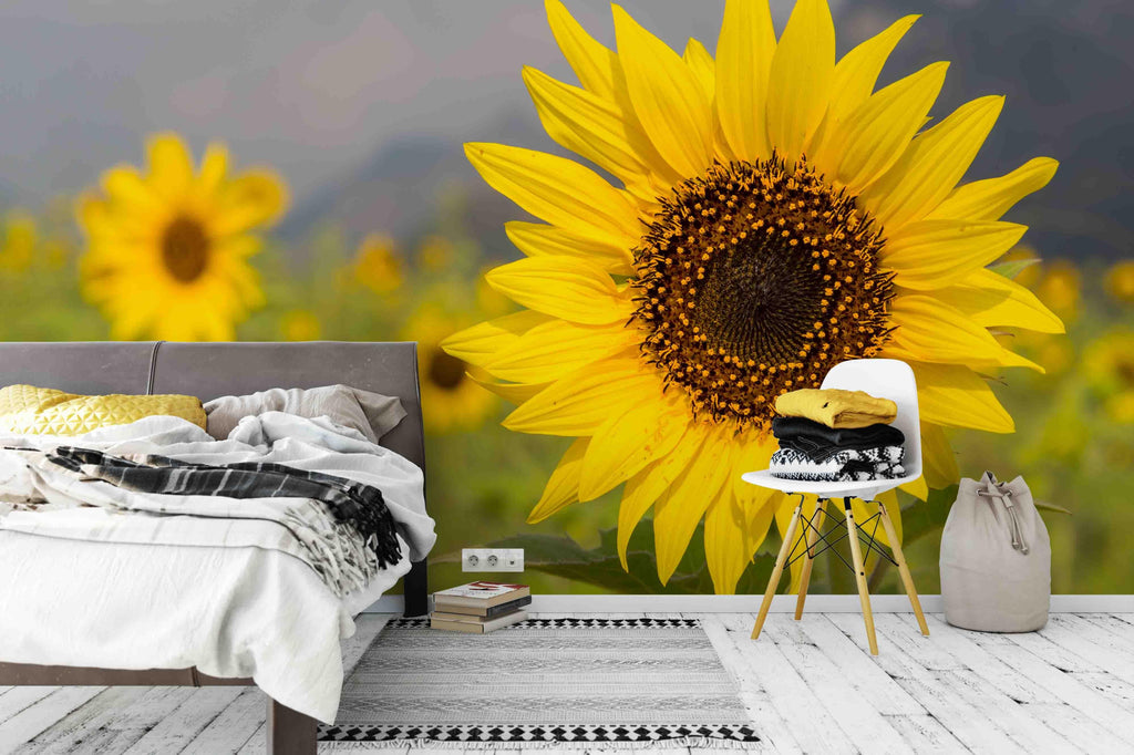 3D sunflower wall mural wallpaper 65 – Jessartdecoration