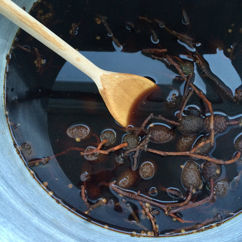 Dyeing with Alder Cones – Rebecca Desnos