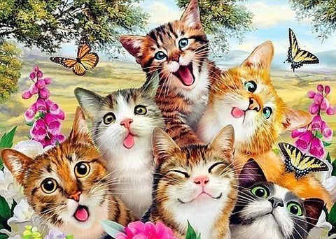 cute cats