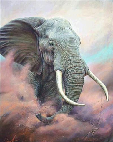 Elephant Series