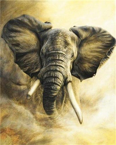 Elephant Series 5