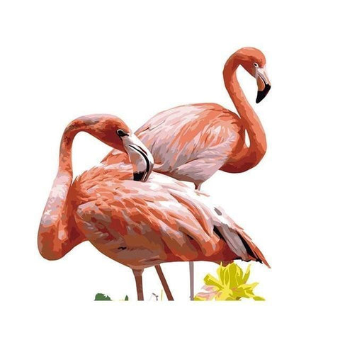 Flamingo 19