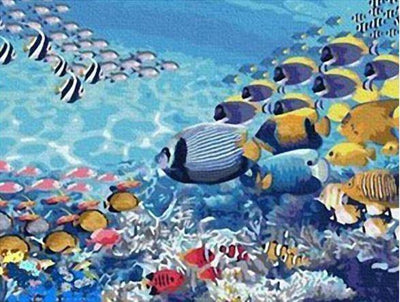 paint by numbers kit Abstract Fish Swimming - Custom paint by number