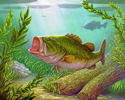 paint by numbers kit Bass Fish Underwater - Custom paint by number