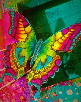 paint by numbers kit Colorful Butterfly - Custom paint by number