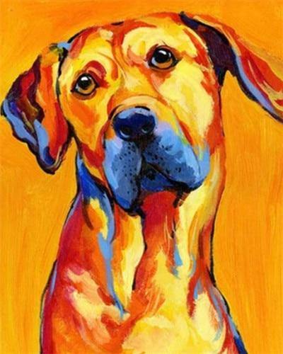 paint by numbers kit coloured dog 3