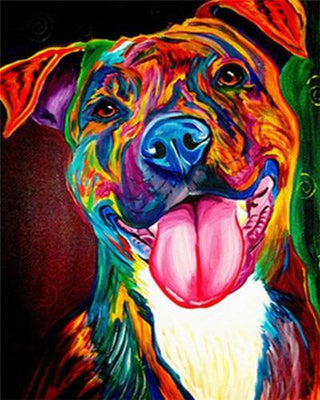 Coloured Staffy