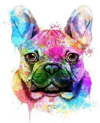 paint by numbers kit Colourful Frenchie 3 - Custom paint by number