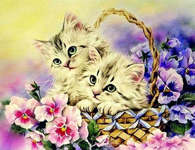 paint by numbers kit Cute Cats 4 - Custom paint by number