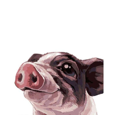 paint by numbers kit Cute pig - Custom paint by number