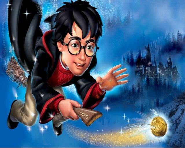 cartoon harry potter on broom