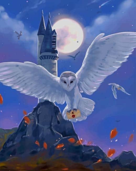 Hedwig Harry Potter Owl – Paint By Number