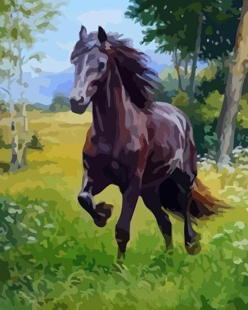 2 Pack Paint Works Paint By Number Kit 8x10-Colorful Horse 91851