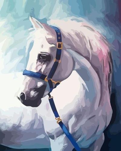 Horse & Foal Large Paint by Numbers Kit for Adults Free Shipping From  California, USA -  Australia