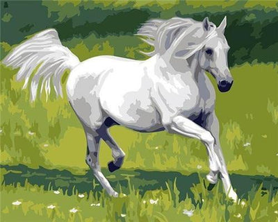 paint by numbers kit Horses 3 - Custom paint by number