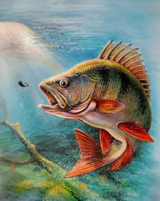 paint by numbers kit Largemouth Bass Fishs