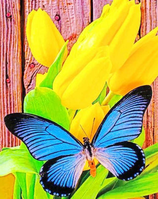 paint by numbers kit Yellow Tulip And Blue Butterfly - Custom paint by number