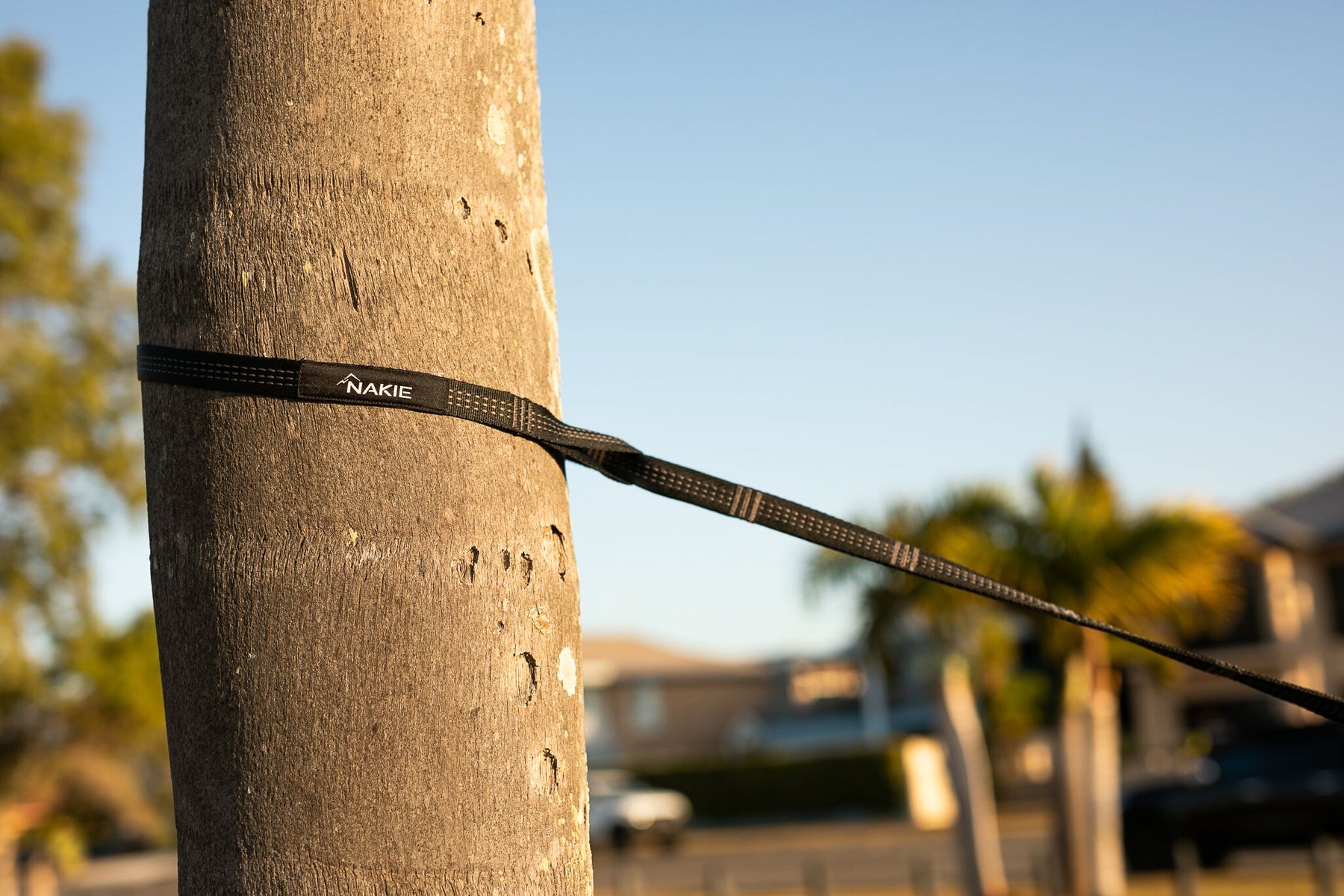 Hammock Straps