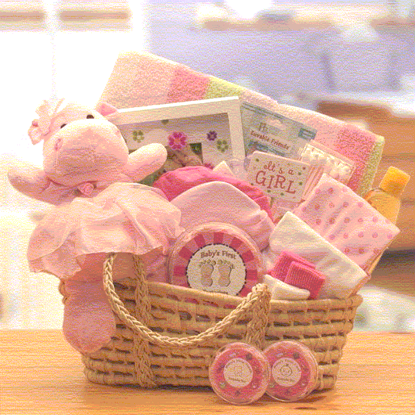 Baby Girl Gift basket in Hampton Falls, NH