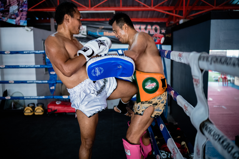 Sac de frappe,Coussinets de boxe avec mise au point de la cible, équipement  de boxe pour Arts martiaux, Kickboxing Muay Thai Sanda