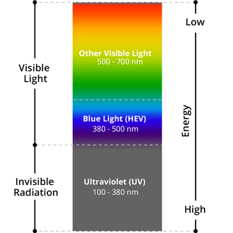 The visible light spectrum and blue light.