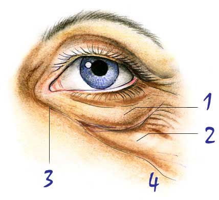 Aging skin around the eyes