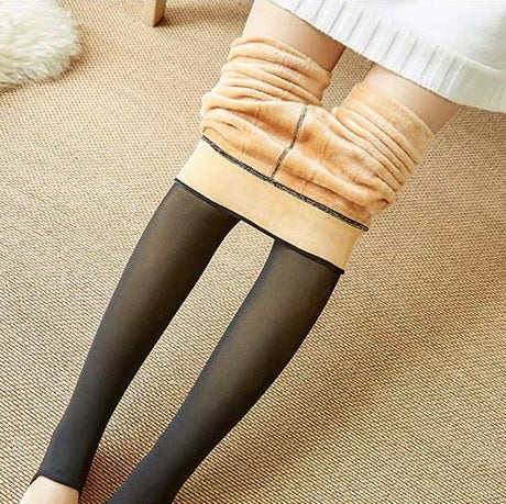 collants galerie