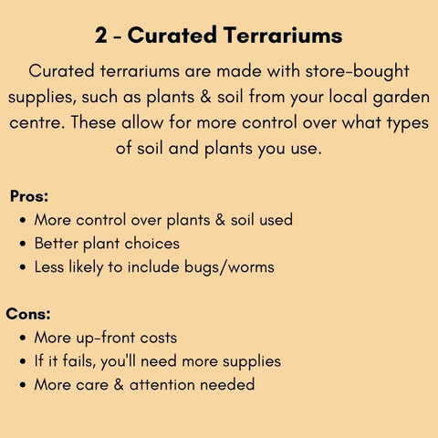 What are curated terrariums?