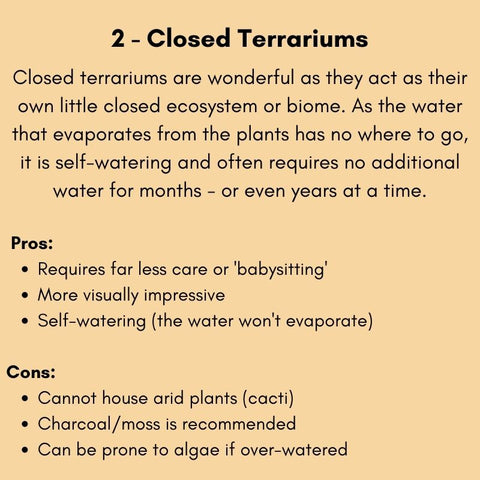 Pros and cons of closed-topped or sealed terrariums