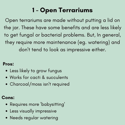 The pros and cons of open-topped terrariums