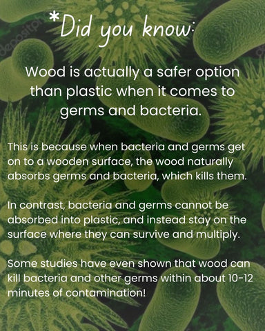 Does wood or plastic have more bacteria?