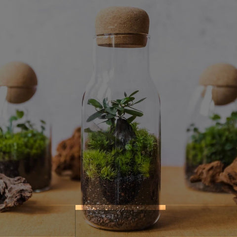 how to make a jar terrarium - adding the mesh layer