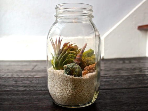 beach in a jar, sand shells and coral in a glass jar