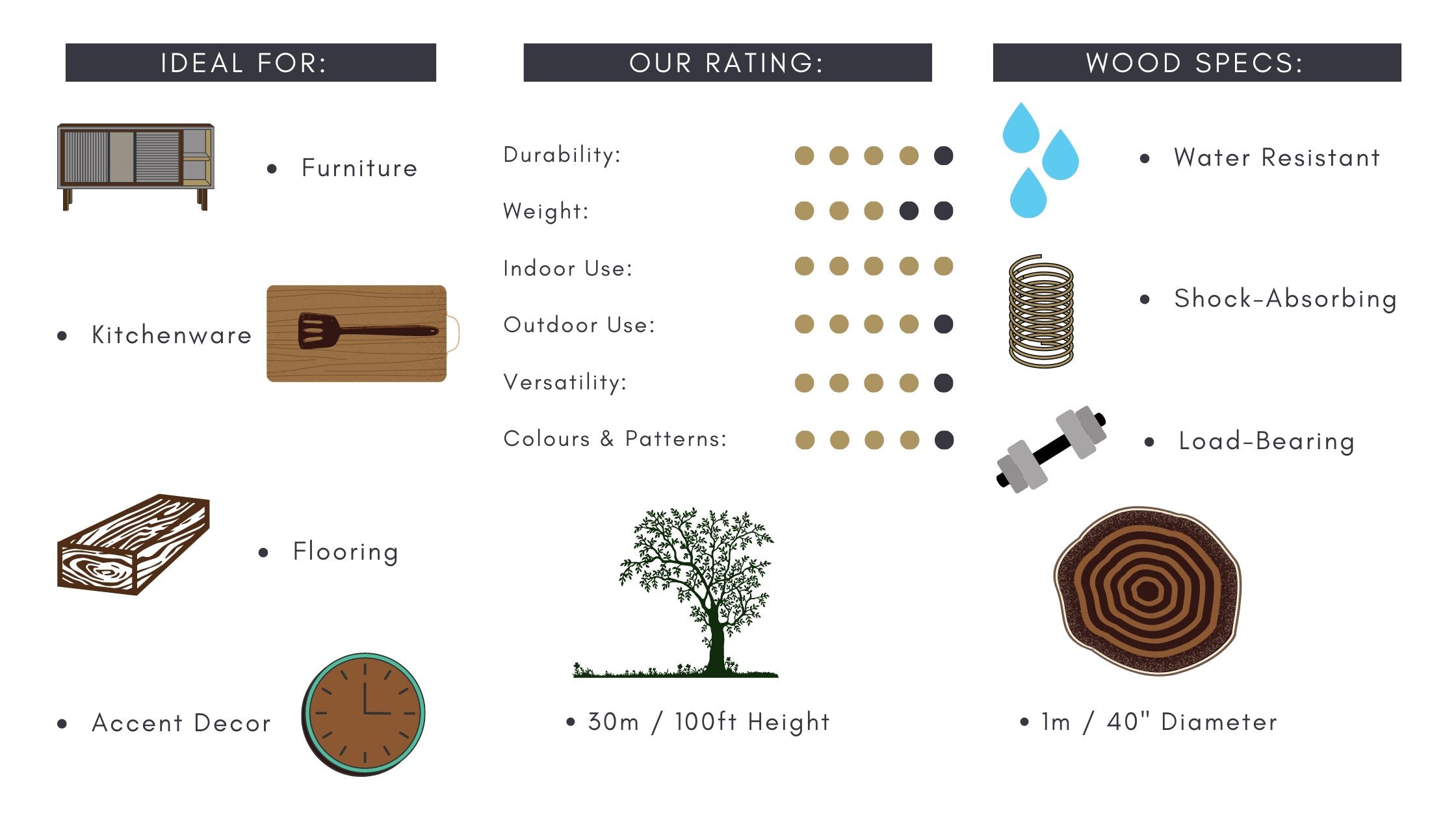 Black Walnut vs. English Walnut: A Comparative Guide to Their Differences