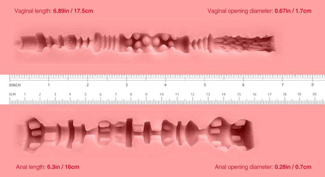 Daisy channel ruler measurement.jpg__PID:760e4b3c-cdbd-4ab0-9957-ee30f26e017d