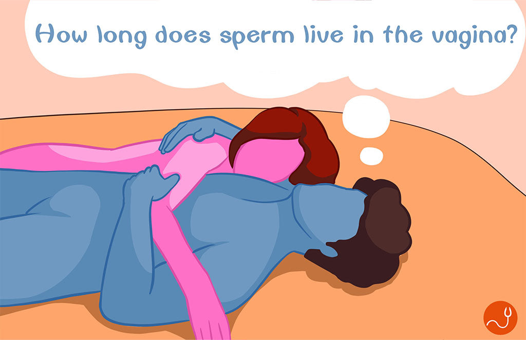How long does sperm live in the vagina.jpg__PID:bed61df7-a04d-454f-a15a-e4fd2dd32b3a