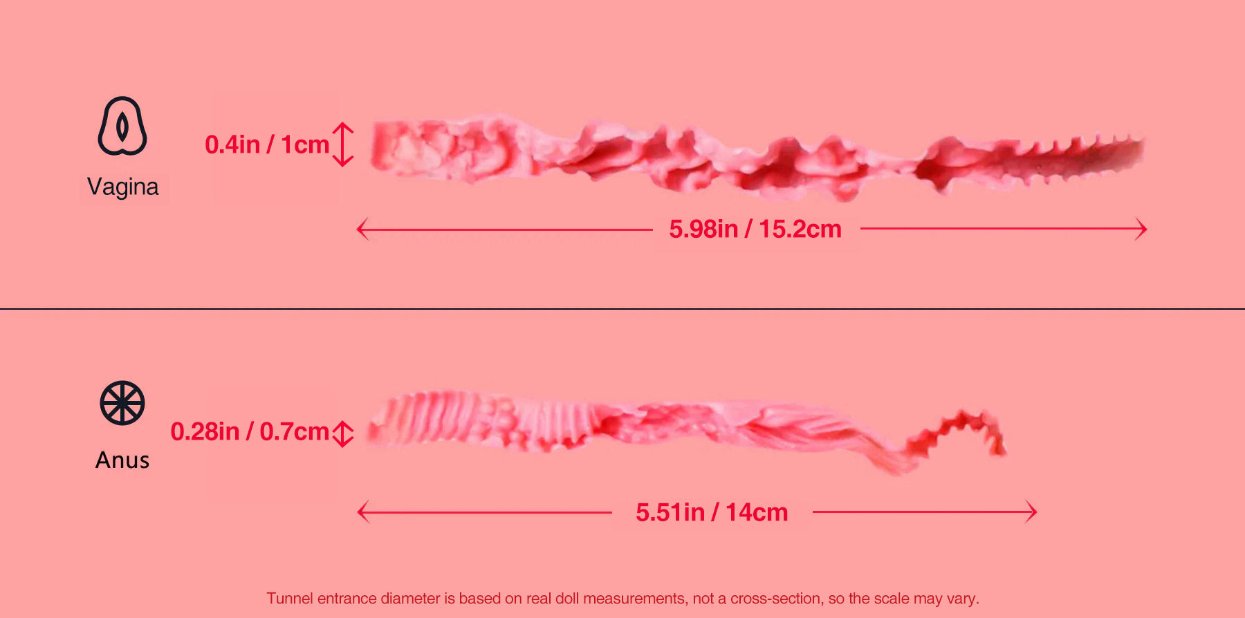 Rosie vaginal and anal tunnels.jpg__PID:a1c2d54f-07f5-463c-a29e-cfc00806af53