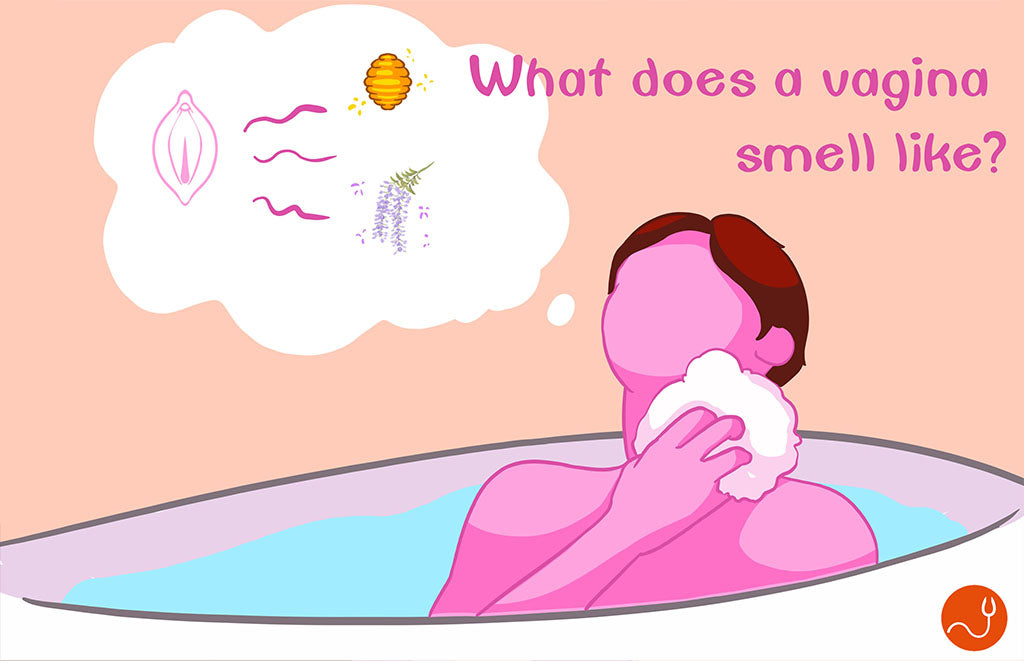 What does a vagina smell like.jpg__PID:2dd20cd2-ded1-46c0-a3df-1cc437c39a5e