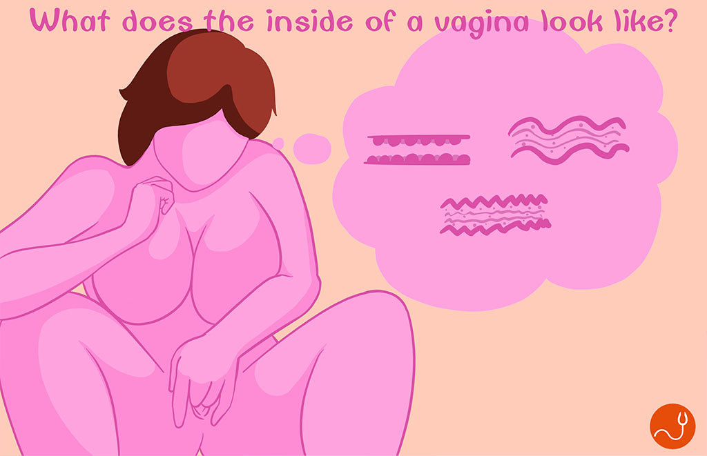 What does the inside of a vagina look like.jpg__PID:0cd2ded1-46c0-43df-9cc4-37c39a5e54cc