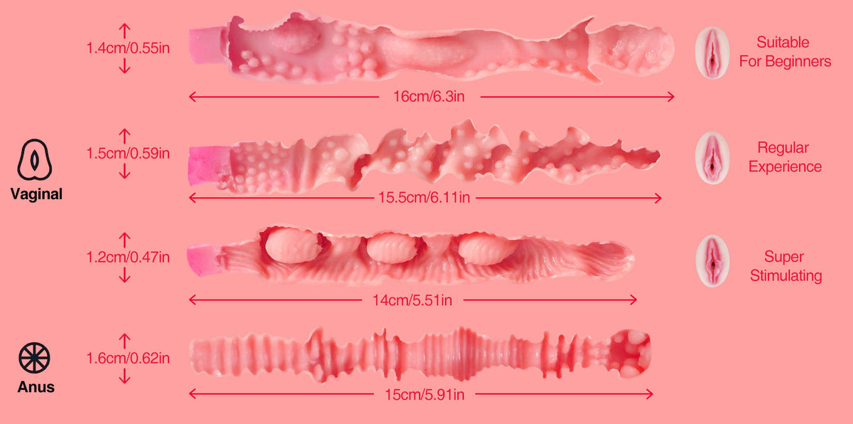 Vaginal and anal canal size chart