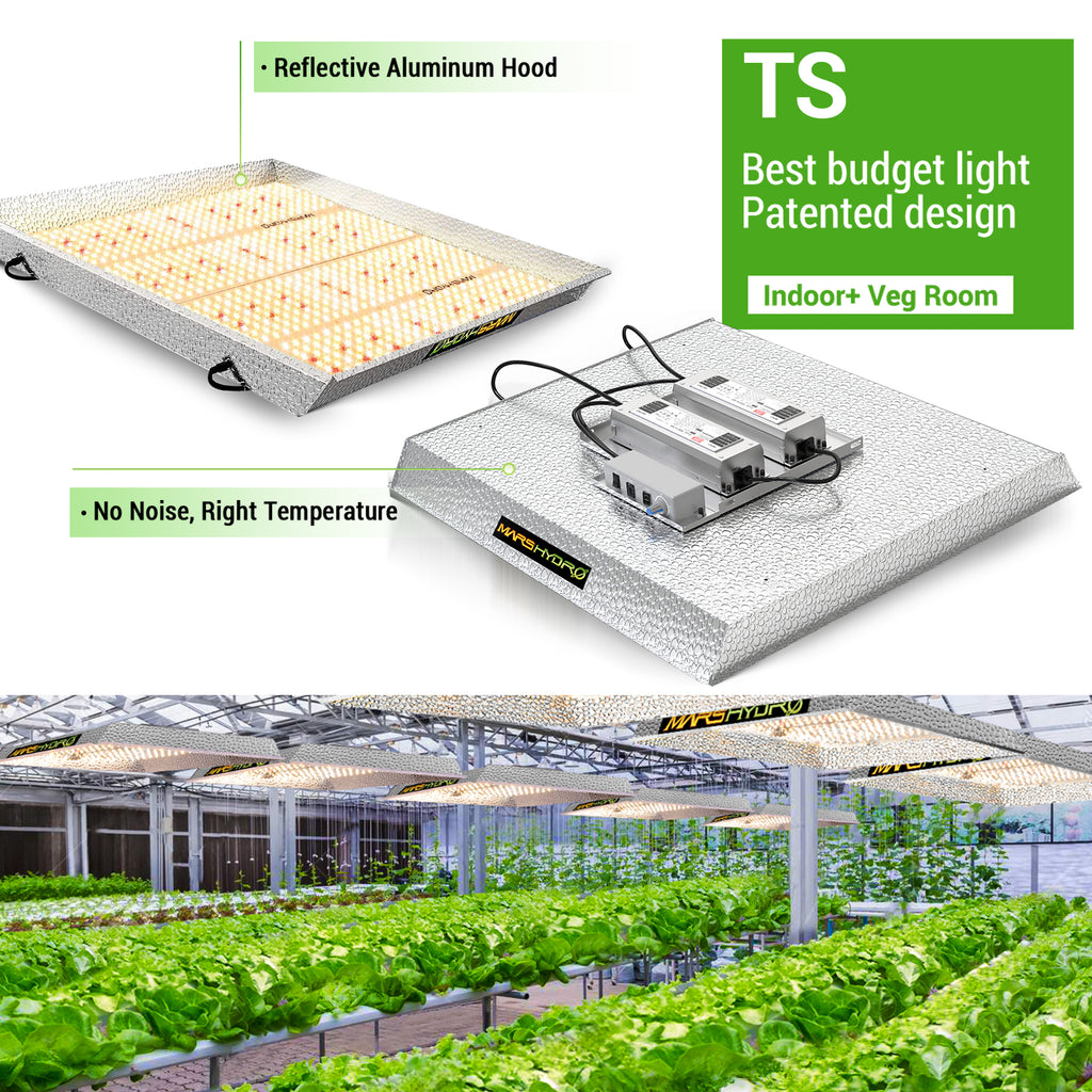 TS3000 budget led grow light for commercial veg growing