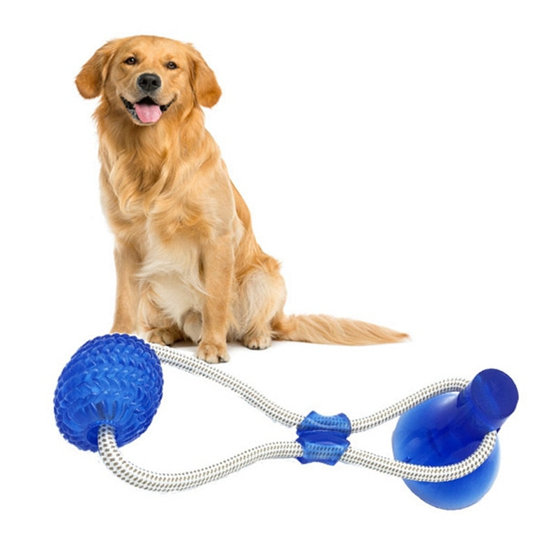 suction dog toy