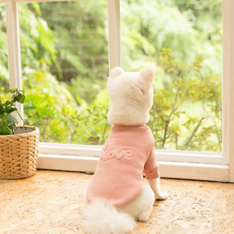 ピンクの服を着て窓の外を見るポメラニアン