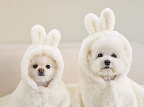 人気韓国ブランドのドッグウェア（犬服）通販 URBAN DOG TOKYO｜今大